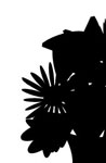 Flower silhouette