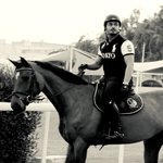 Royal Equestrian 