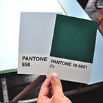 Pantone 656 + Fir