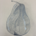 Observational Drawings - Pear