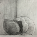Observational Drawings - Egg