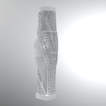 Skyscraper Project