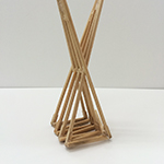 Chopstick Model: Plant Structure 