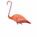 Clamingo (draft)