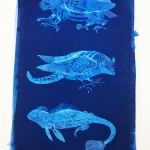 Compiled Cyanotype Critters 