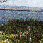 landscape mosaic