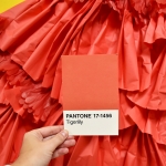 Pantone Color Match