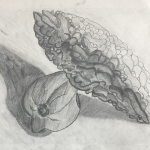 Still Life Drawing of a Bitter Melon and a Bell Pepper