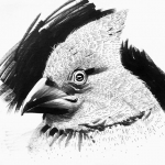 Bird expression 4