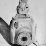 兔兔and camera observational drawing 