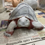 Turtle front view 