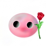 Jelly Rose Sticker