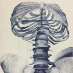 Skeleton drawing 