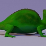 Chameleon Side Picture