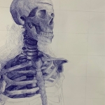 Skeleton 4