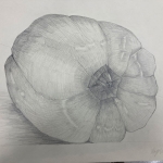 Bell Pepper Drawing