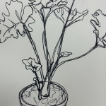 Line Drawing - Plant