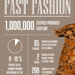 Fast Fashion Infographic