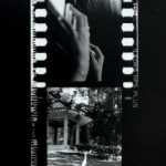 Autumn, Hands, and Shadow: Contact Sheet Test Strip