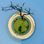 Small Planet of a Beach&Tree