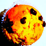 Muffin 2