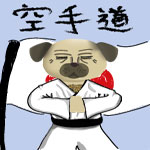 Pug Fu the Karate Master