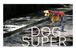 Dog Super