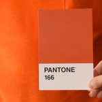 Pantone Orange