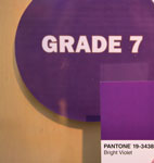 Pantone - Violet 