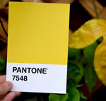 Pantone - Yellow 