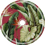 Flor - CD