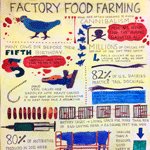 Factory Food Farming