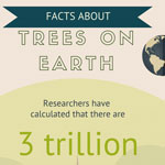 Infographic about Trees