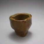 Darted Cup