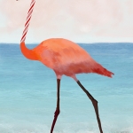 Clamingo (final)