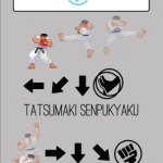 Ryu SFIII command list infographic
