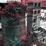 HDR Infrared Color 