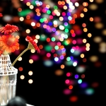 flower blur lights