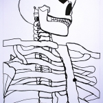 Skeleton Contour Study