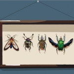 Bugs in a frame