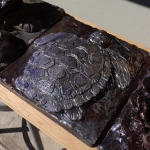 Low Relief Turtle Scupture
