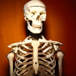 Skeleton Portrait 