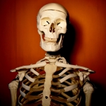 Skeleton Portrait 4