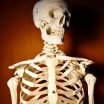 Skeleton Portrait 5