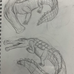 Sustained Investigation Thumbnails #10 (1)