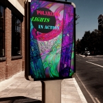Polarized Light Poster