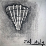 shell study