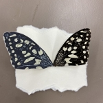 butterfly wing 