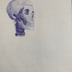 Skeleton 1