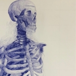 Skeleton 5